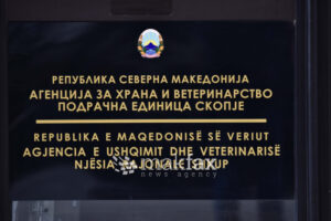АХВ со 560 контроли: Казни од речиси 20.000 евра, уништени над 200 килограми сладолед и мраз
