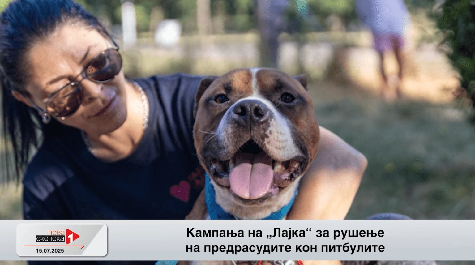 (Видео) Можност за вдомување на бездомни кучиња од „Лајка“ од денеска до недела во „Дајмонд мол“