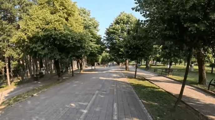 Битолчанец се заглавил на дрво во Градскиот парк, пожарникари го симнале