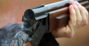 Повреден бик во тетовско со пушка, полицијата трага по сторителот