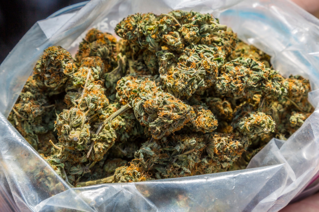 Четворица осомничени за трговија со дрога во гевгелиско, предложен притвор