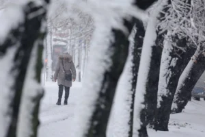 Најмалку 87 загинати во разорната снежна бура во САД