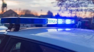 Трагедија во Србија: Пронајдени делови од тело на жена во замрзнувач, синот приведен
