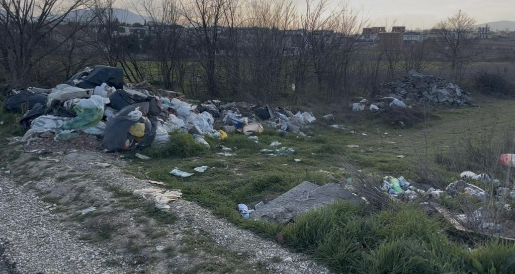 Природата пролетно се разубавува, човекот ја валка – има ли решение за дивите мини депонии покрај Бардовци?