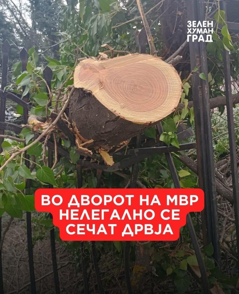 Зелен хуман град реагира на сечење дрва во кругот на МВР