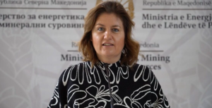 Регионот мора заеднички да гради стабилен и интегриран енергетски систем, порача Божиновска од Атина