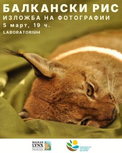 Скопјани ќе можат преку фотографии да видат како живее балканскиот рис