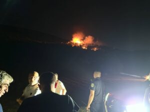 Целовечерна борба на пожарникарите кај Церово