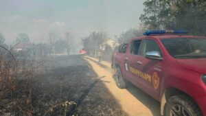 Осум пожари сè уште активни низ Македонија, огнената стихија кај Струмица ставена под контрола