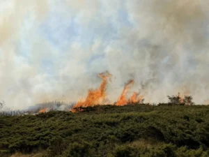 Пет активни пожари во Македонија, пет се под контрола, а 32 се изгаснати во изминатото деноноќие
